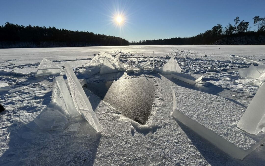 Kulka Podlodowa, 31.01-01.02