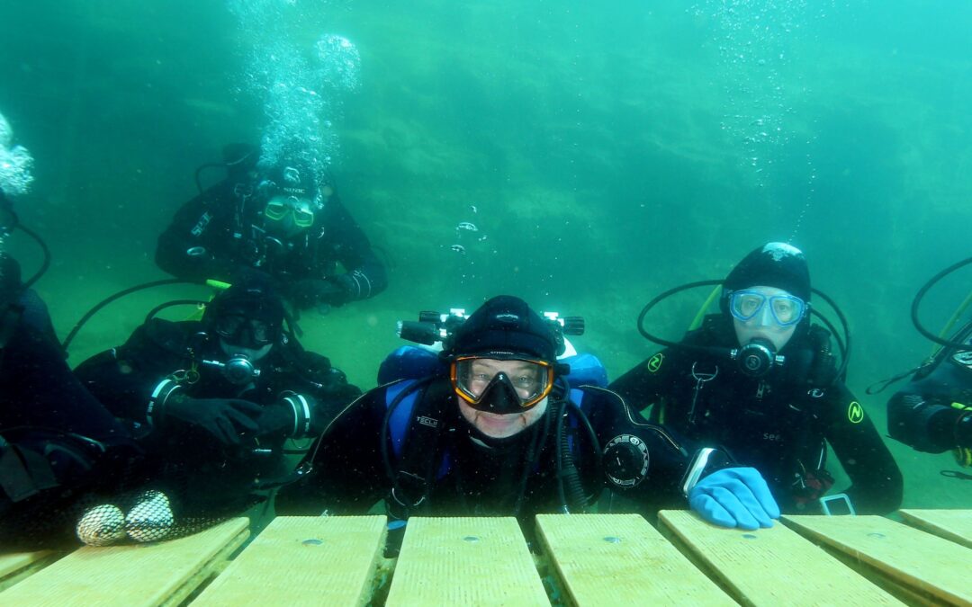 Klubowe jajo, 4 kwietnia 2026