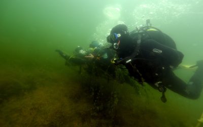 Sulejów, 2 maja 2026